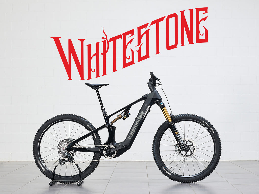 Cannondale Moterra Carbon 1
