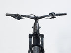 Cannondale Moterra 3