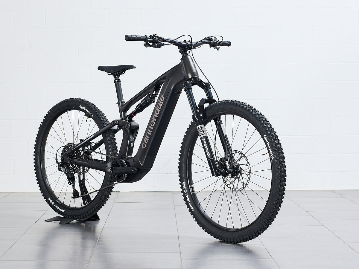 Cannondale Moterra 3