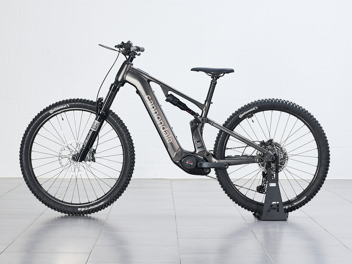 Cannondale Moterra 3